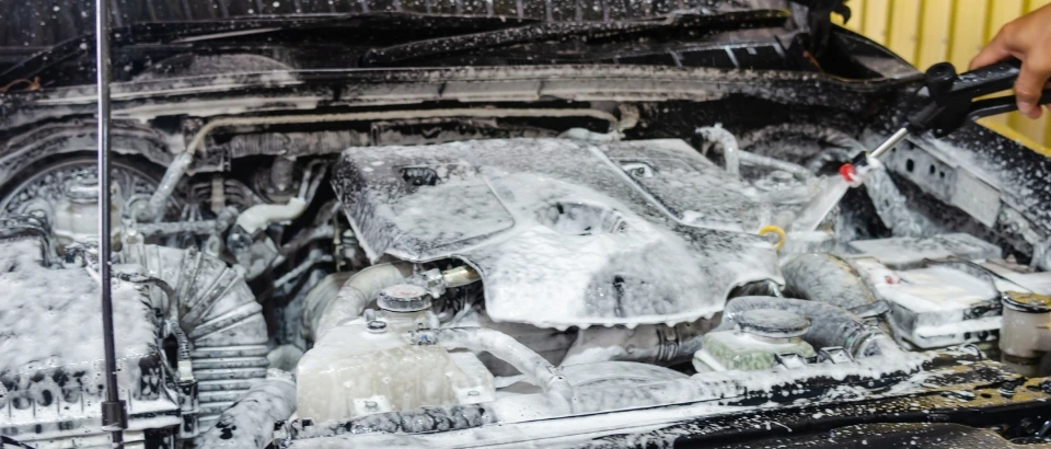 Car Engine Cleaning