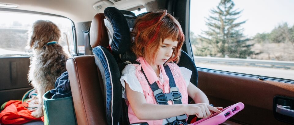 Kids Pets on Road Trip